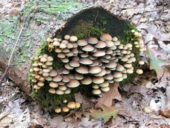 DSCN3459